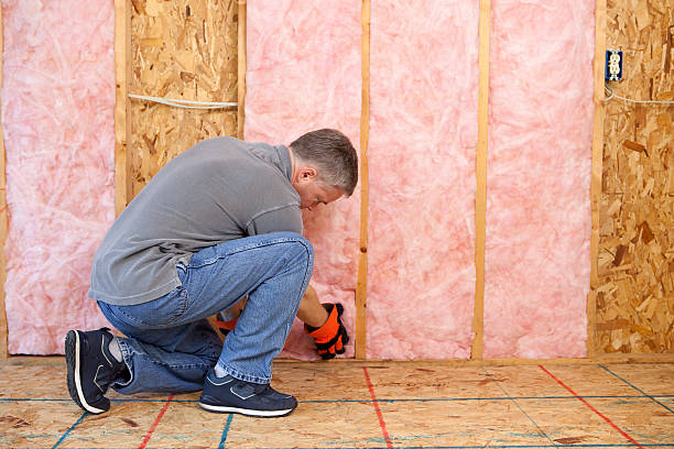 Best Specialized Insulation Services in Menomonee Falls, WI